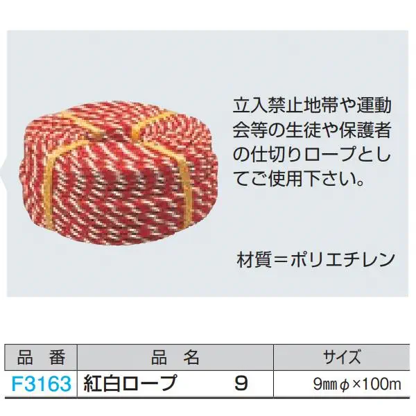F3163